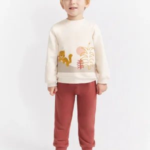 Conjunto Explorador Feliz