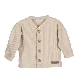 Chaqueta Niño Rodas Arena