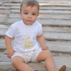 Conjunto Niño Pio Rayas