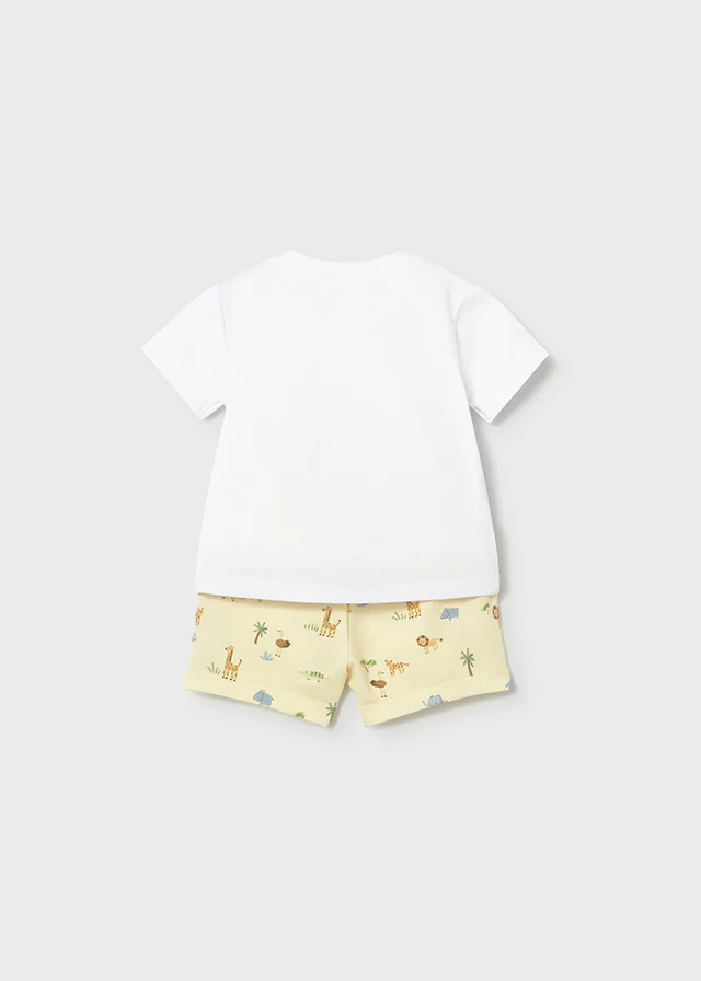 Set Conjunto Animals - Imagen 4