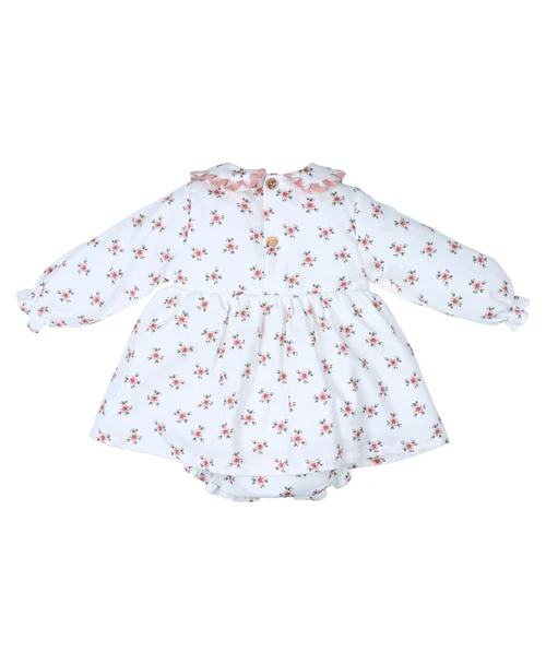 Jesusito Rosa Antigua - Imagen 3