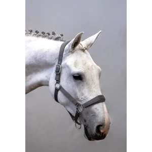 Almartigón de Nylon Amia