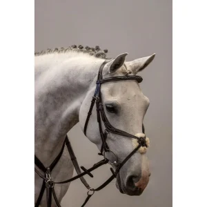 Brida Cruceta Mexicana Amia Curiosa