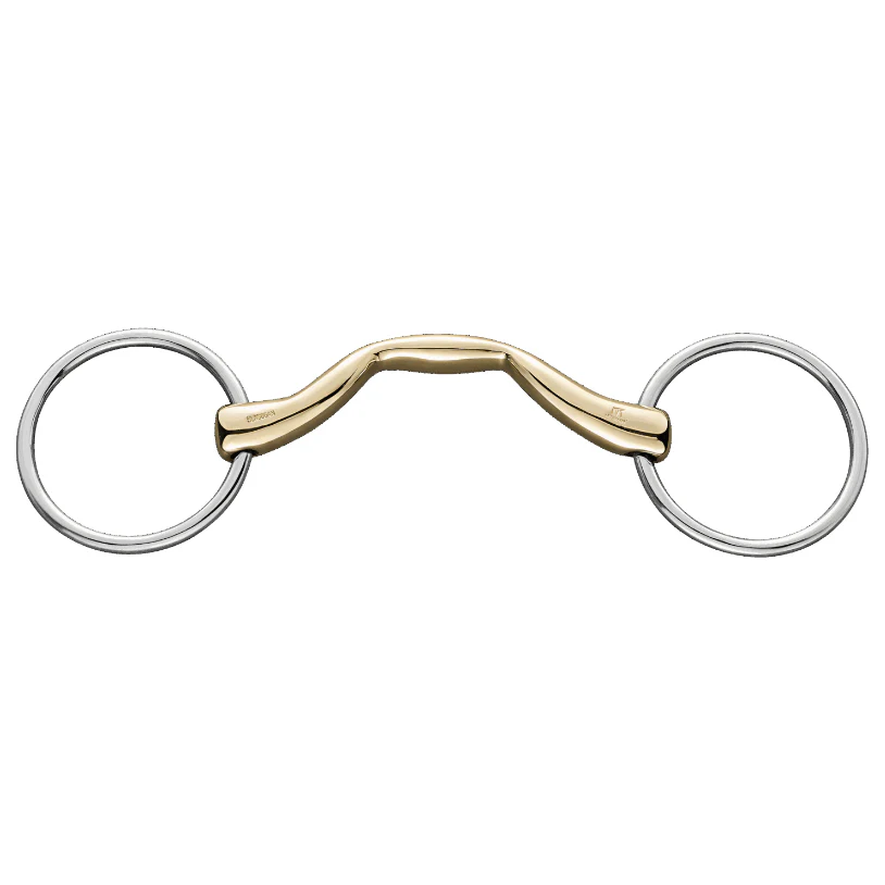 Filete de Barra con Puente HS Sensogan