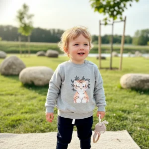 Conjunto Tigre Sentado