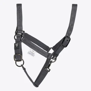 Almartigón con Ronzal Cavalleria Toscana CT