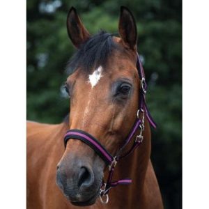 Almartigon de Nylon Ekkia Norton