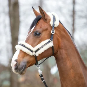 Almartigon de Piel con Borrega Kavalkade Marvellous