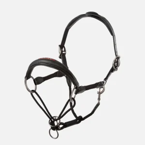 Almartigón de Piel Animo Utah