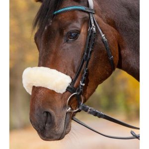 Borrega para Brida / Almartigón WH