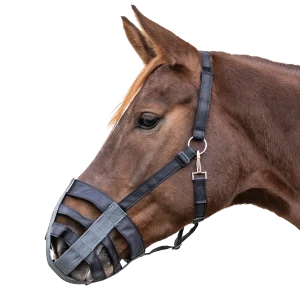 Bozal de Tela para Caballo WH