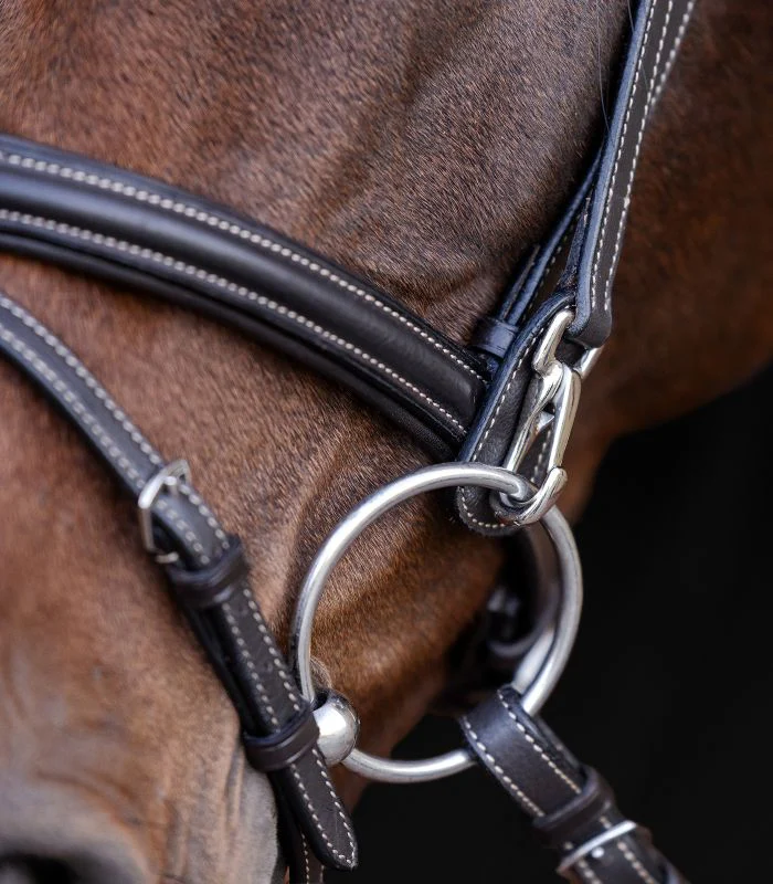 Brida Inglesa Combinada WH X-Line Work - Imagen 6