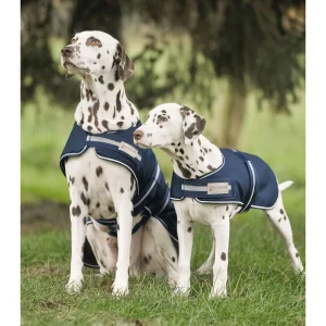 Cobija Impermeable para Perro WH