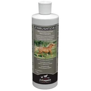 First Companion Thrushtox