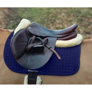 Mantilla VS Ekkia Back on Track