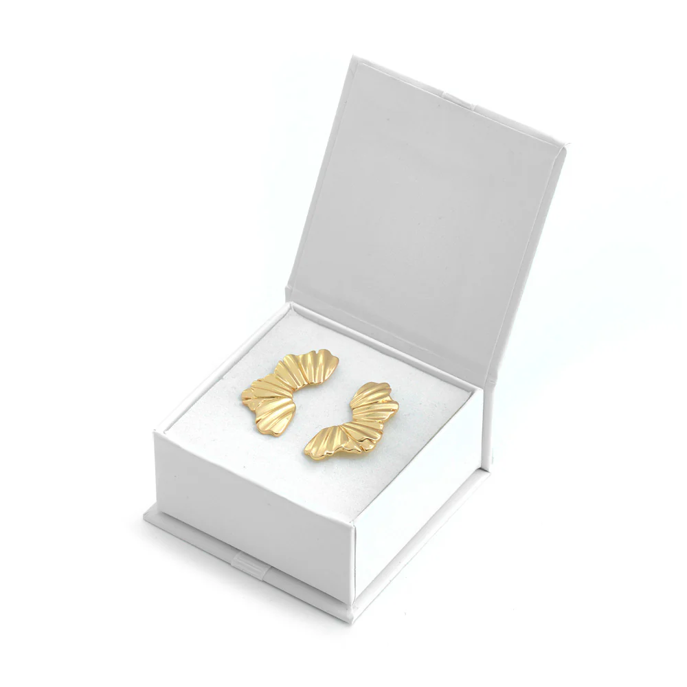 Aros danae plateado - Imagen 3