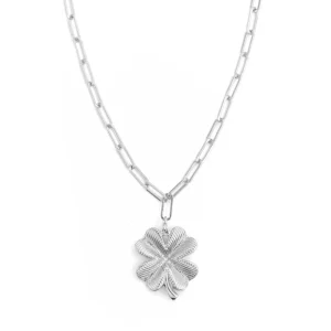 Collar con colgante lucky plateado